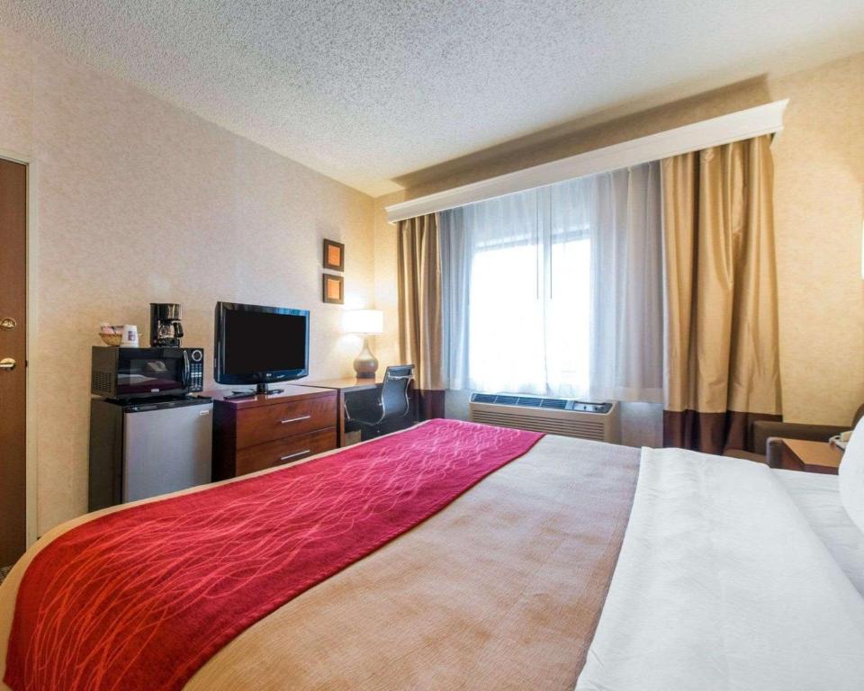 Comfort Inn North Colorado Springs Main image 2
